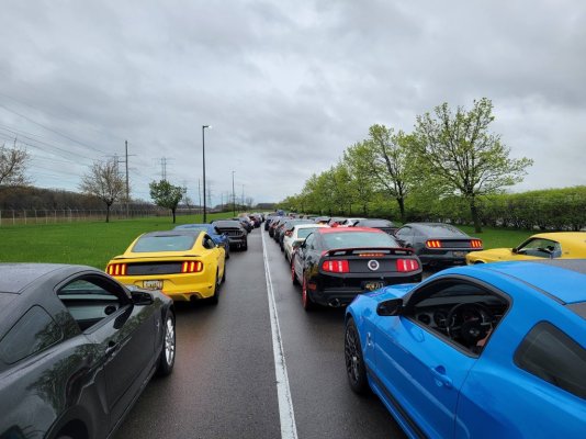 lined up for parade 2.jpg