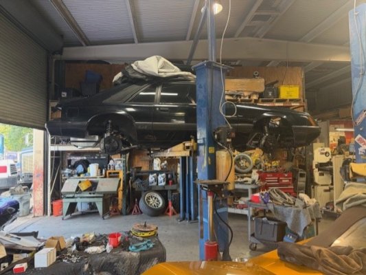 86 mustang.jpg