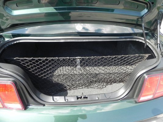 Trunk .JPG