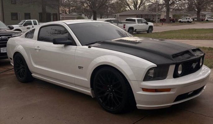 mustang.jpg mustang.jpg