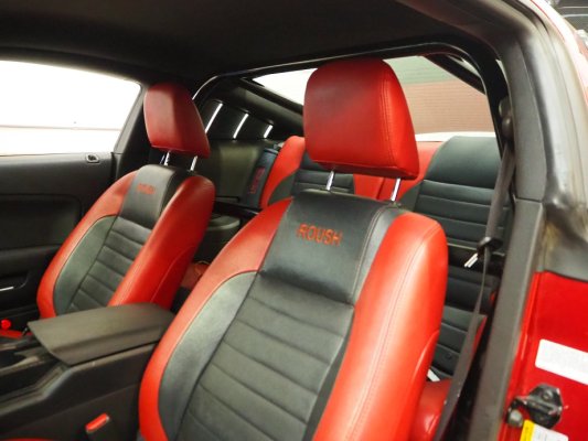 Max Roll Bar.jpg
