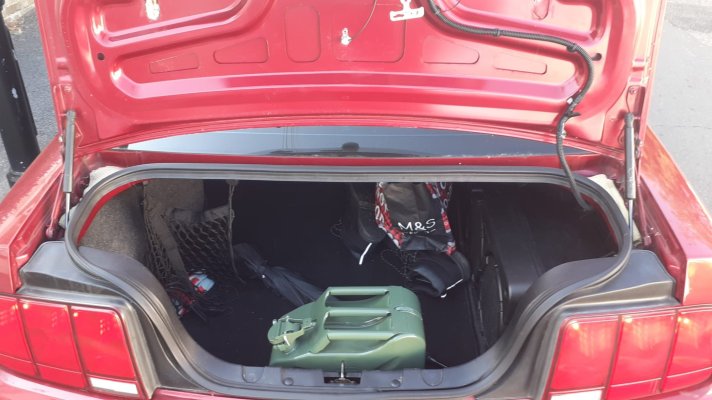 Trunk-2.jpeg Trunk-2.jpeg
