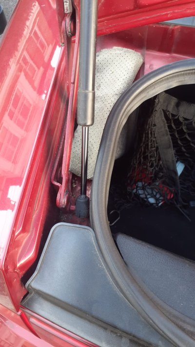 Trunk-3.jpeg Trunk-3.jpeg