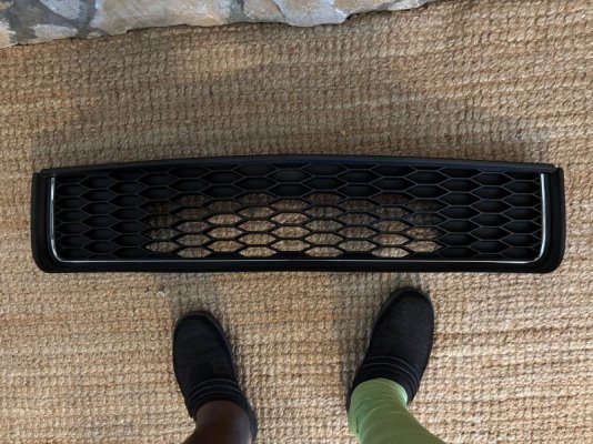LMR SVE 08-09 Bullitt Grille Replica (1).JPG