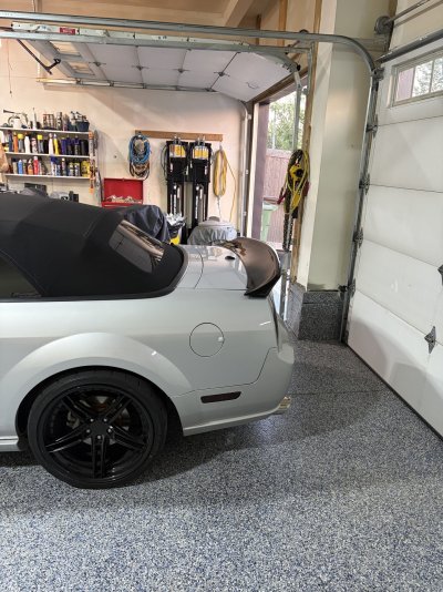 Black Rear.jpg