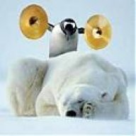 PenguinGT
