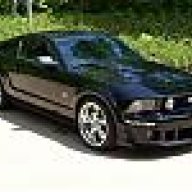 Mustanglouie