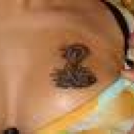 Alscobra