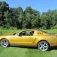 Colgate Stang