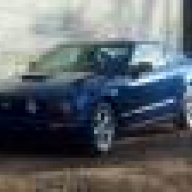 mustangtim