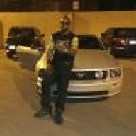 stangboy901