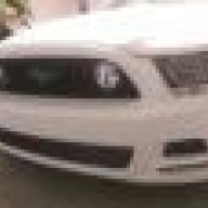 Wyleecoyote13