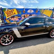 302pony