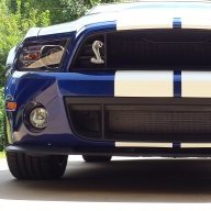Shelbyfan73