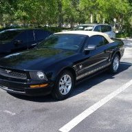 SunshineStang