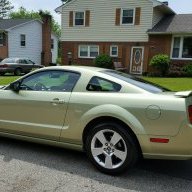 MustangMarc
