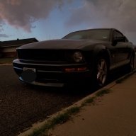 MustangFanatic