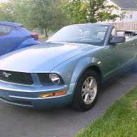 LoveMyStang