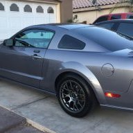 Stang333