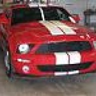 Torched05stang