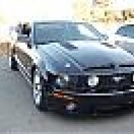 blackstallion06