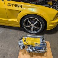 GTSR MUSTANG