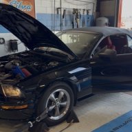 MustangMark
