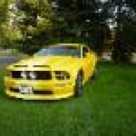My Yellow Stang