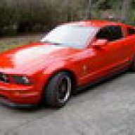 Nice Pony