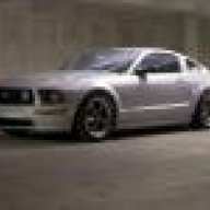 DrtyBrd_05gt