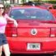 Foxy Stang Girl
