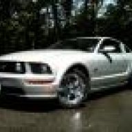 MUSTANG16