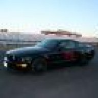 NEMustang