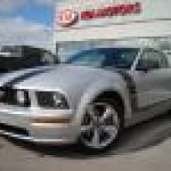 northernstang