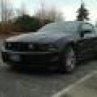 jaguarking11