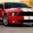 GT500Steve