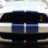 08cobra