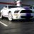 shelby