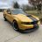 StevezStang
