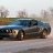 shmustang