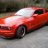 Nice Pony