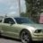 lime 05