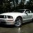 MUSTANG16