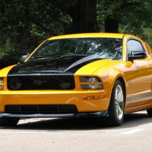 07Stang