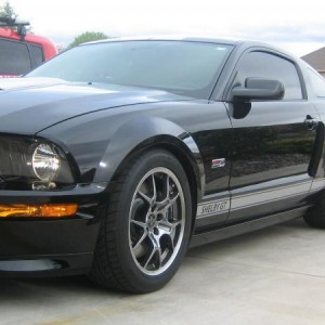 My Shelby