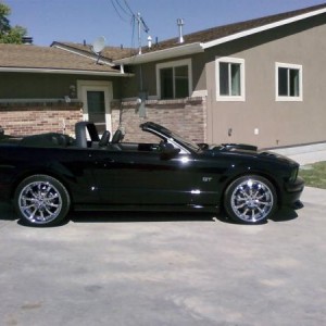 my stang
