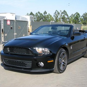 2010 Shelby