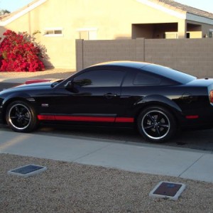 shelby gt