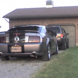 The Stang