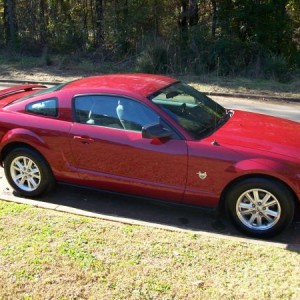 My Mustang!!